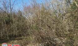 Zemljiste, Marčana, Rakalj, prodaja, 239600 €, 11980 m2