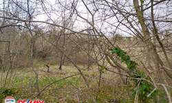 Zemljiste, Marčana, Peruški, prodaja, 91000 €, 8625 m2