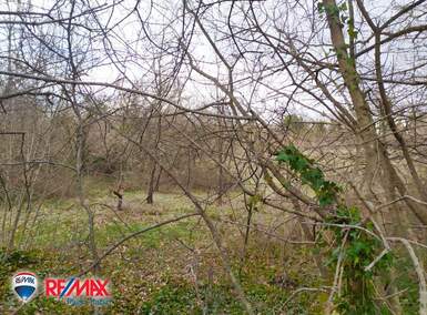 Zemljiste, Marčana, Peruški, prodaja, 91000 €, 8625 m2