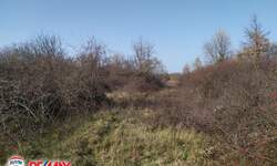 Zemljiste, Sveta Nedelja, Mali Turini, prodaja, 48000 €, 5832 m2