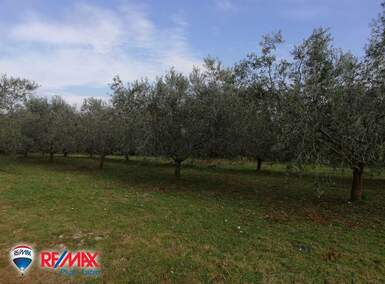 Zemljiste, Marčana, Peruški, prodaja, 40 €, 21701 m2