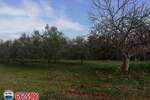 Zemljiste, Marčana, Peruški, prodaja, 40 €, 21701 m2