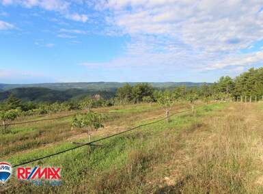 Zemljiste, Kršan, prodaja, 250000 €, 60000 m2