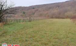 Zemljiste, Labin, Ripenda Kras, prodaja, 70000 €, 11226 m2