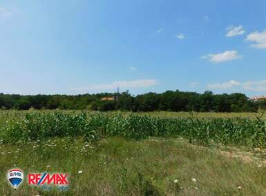 Zemljiste, Labin, Rogočana, prodaja, 3 €, 14407 m2