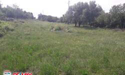 Zemljiste, Labin, prodaja, 60 €, 1663 m2