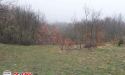 Zemljiste, Labin, Gora Glušići, prodaja, 5 €, 14713 m2