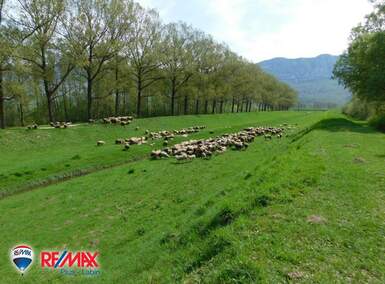 Zemljiste, Kršan, Polje Čepić, prodaja, 4 €, 12532 m2