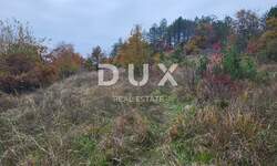 Zemljiste, Buzet, prodaja, 15000 €, 4204 m2