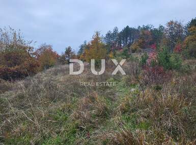 Zemljiste, Buzet, prodaja, 15000 €, 4204 m2