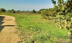 Zemljiste, Poreč, Bonaci, prodaja, 300000 €, 32000 m2