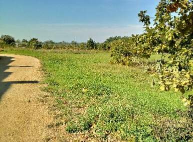 Zemljiste, Poreč, Bonaci, prodaja, 300000 €, 32000 m2