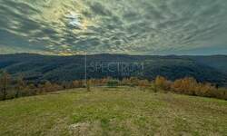 Zemljiste, Motovun, prodaja, 187000 €, 1965 m2