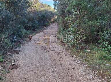 Zemljiste, Marčana, Kavran, prodaja, 12000 €, 339 m2