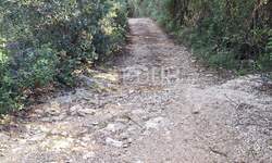 Zemljiste, Marčana, Kavran, prodaja, 11500 €, 323 m2