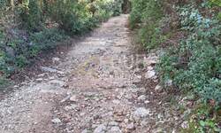 Zemljiste, Marčana, Kavran, prodaja, 12000 €, 339 m2