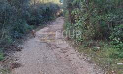 Zemljiste, Marčana, Kavran, prodaja, 12000 €, 341 m2