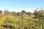 Zemljiste, Medulin, Premantura, prodaja, 43000 €, 1300 m2