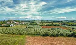 Zemljiste, Umag, prodaja, 630000 €, 2471 m2