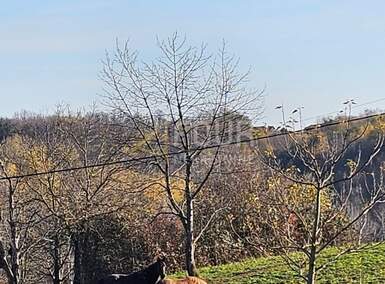 Zemljiste, Ozalj, prodaja, 47000 €, 1162 m2