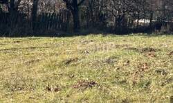 Zemljiste, Ravna Gora, prodaja, 124500 €, 1341 m2