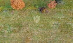 Zemljiste, Motovun, prodaja, 194000 €, 1078 m2