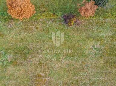 Zemljiste, Motovun, prodaja, 194000 €, 1078 m2