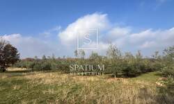 Zemljiste, Marčana, Krnica, prodaja, 115000 €, 7623 m2