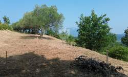 Zemljiste, Pićan, prodaja, 50000 €, 758 m2