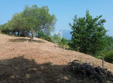 Zemljiste, Pićan, prodaja, 50000 €, 758 m2