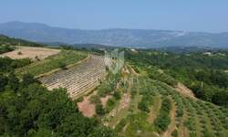 Zemljiste, Pićan, prodaja, 170000 €, 12337 m2