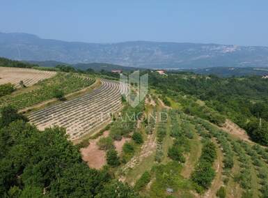 Zemljiste, Pićan, prodaja, 170000 €, 12337 m2