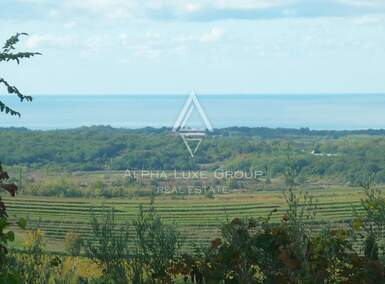 Zemljiste, Buje, prodaja, 1 €, 1473 m2