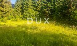 Zemljiste, Delnice, Lučice, prodaja, 129000 €, 2550 m2