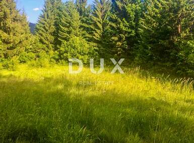 Zemljiste, Delnice, Lučice, prodaja, 129000 €, 2550 m2