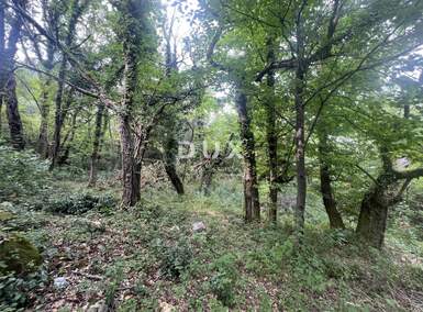 Zemljiste, Mošćenička Draga, prodaja, 120000 €, 1650 m2