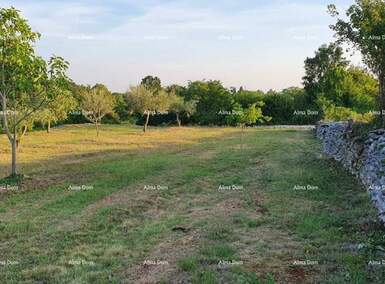 Zemljiste, Marčana, prodaja, 61000 €, 0 m2