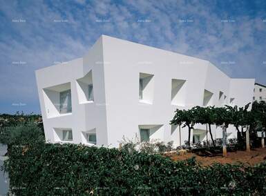 Kuca, Pula, prodaja, 3500000 €, 675 m2