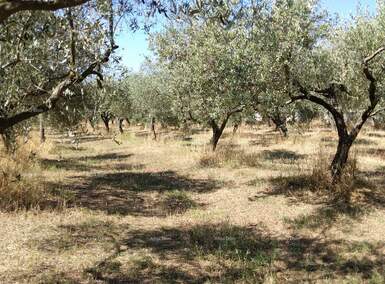 Zemljiste, Pula, Busoler, prodaja, 597000 €, 0 m2