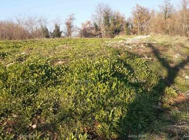 Zemljiste, Brtonigla, prodaja, 160000 €, 0 m2