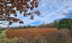 Zemljiste, Barban, Gočan, prodaja, 150000 €, 0 m2