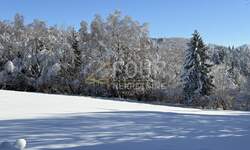 Zemljiste, Ravna Gora, prodaja, 346000 €, 2659 m2