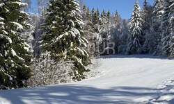 Zemljiste, Ravna Gora, prodaja, 405000 €, 3115 m2