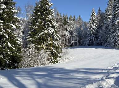 Zemljiste, Ravna Gora, prodaja, 405000 €, 3115 m2