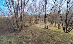 Zemljiste, Viškovo, Saršoni, prodaja, 80000 €, 6029 m2