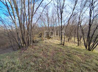 Zemljiste, Viškovo, Saršoni, prodaja, 80000 €, 6029 m2