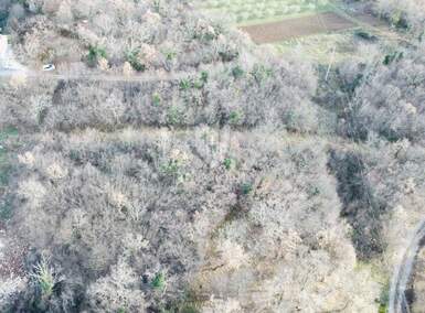 Zemljiste, Poreč, prodaja, 97500 €, 1300 m2