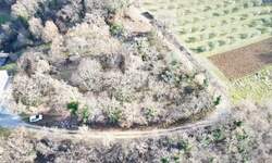 Zemljiste, Poreč, prodaja, 124500 €, 1311 m2