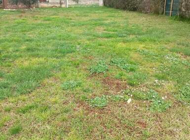 Zemljiste, Peroj, prodaja, 240000 €, 0 m2