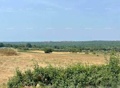 Zemljiste, Sveti Lovreč, prodaja, 106200 €, 0 m2